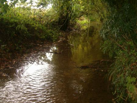 voici notre ruisseau